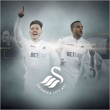 201314 Swansea City Afc Season