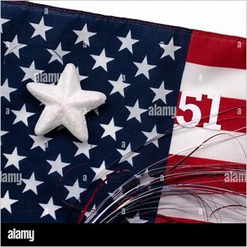 51st State 51 Star Flag