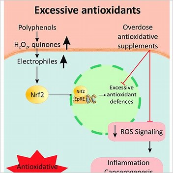 Antioxidative Stress Role In Disease