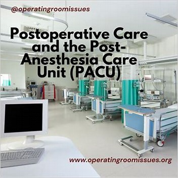 Operating Room Management Pacu Admission Delays
